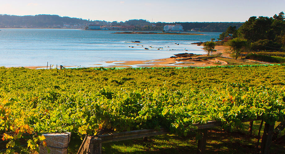 Um fenômeno chamado Alvarinho