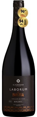 Laborum de Parcela Alto los Cuises Malbec