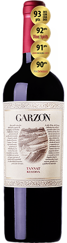 Garzón  Reserva Tannat 2019