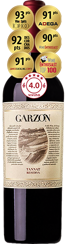 Garzón Reserva Tannat 2020