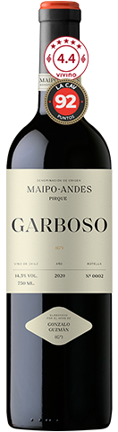 Gonzalo Guzmán Garboso 2020
