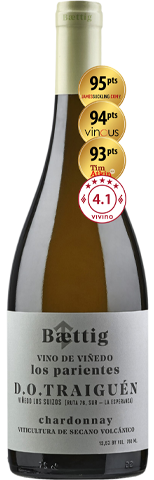 Baettig Vino de Viñedo Los Parientes Chardonnay 2023