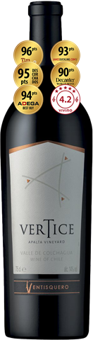 Ventisquero Vertice 2021