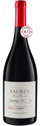 Vinho do Dia