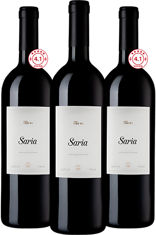 Vertical Sfiria Saria 2018 / 2020 / 2021