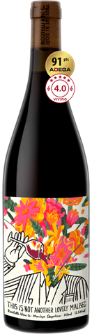Riccitelli This Is Not Another Lovely Malbec 2023