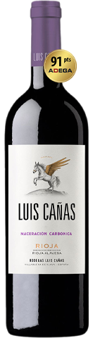 Luis Cañas