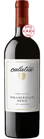 Calatia Terra Antica