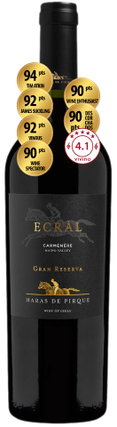 Vinho do Dia