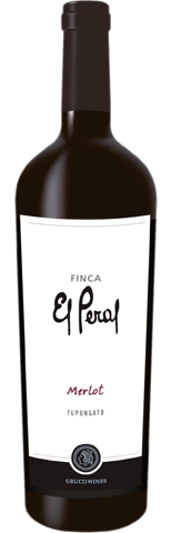 Vinho do Dia