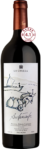 Vinho do Dia