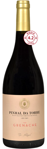Vinho do Dia