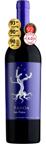 Vinho do Dia