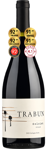 Vinho do Dia