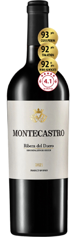 Vinho do Dia