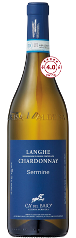 Vinho do Dia