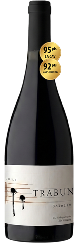 Vinho do Dia