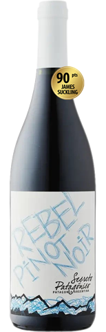 Vinho do Dia