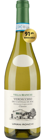 Vinho do Dia