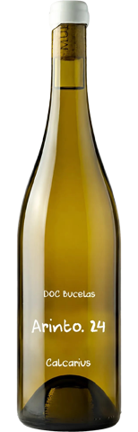Vinho do Dia