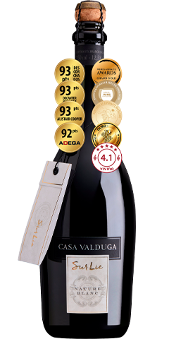 Vinho do Dia