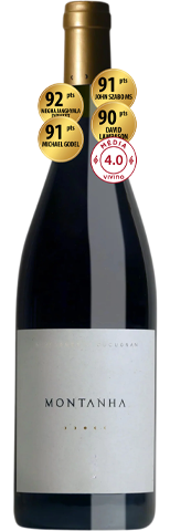 Vinho do Dia