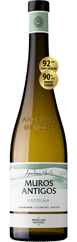 Vinho do Dia