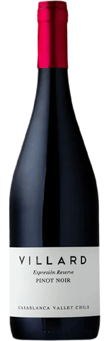 Vinho do Dia