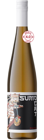 Vinho do Dia