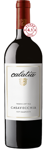 Vinho do Dia