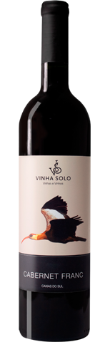 Vinho do Dia