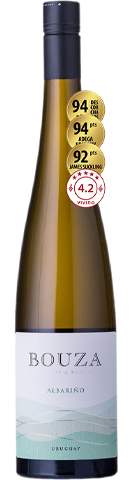 Bodega Bouza