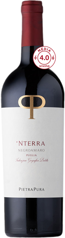 Vinho do Dia