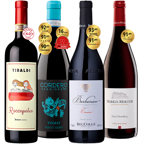 Coleção Neb vs Pinot