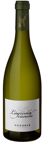 Bressia Lagrima Canela 2014
