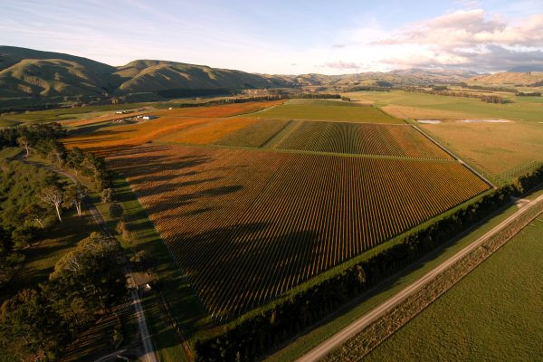 Wairarapa