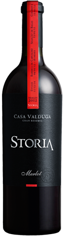 Casa Valduga Storia Merlot 2012