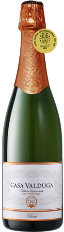 Casa Valduga Arte Brut