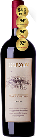 garzon single vineyard tannat 2021
