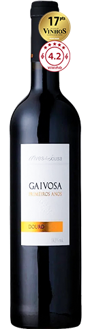 Alves de Sousa Gaivosa Primeiros Anos 2018