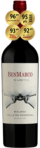 Benmarco Sin Limites Malbec Pedernal 2019