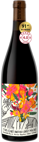 Riccitelli This is Not Another Lovely Malbec 2023