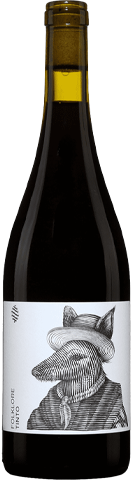 Folklore Tinto Cerro Chapeu 2024