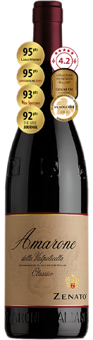 Zenato Amarone della Valpolicella Classico 2019