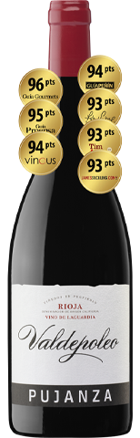 Pujanza Valdepoleo 2020