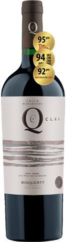 Bisquertt Q Clay Syrah-Malbec 2021