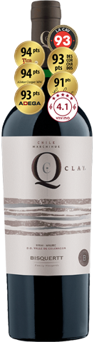Bisquertt Q Clay Syrah-Malbec 2020