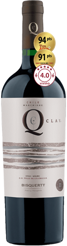 Bisquertt Q Clay Syrah-Malbec 2019