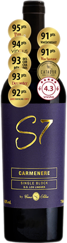 Casa Silva S7 Carménère Single Block 2022